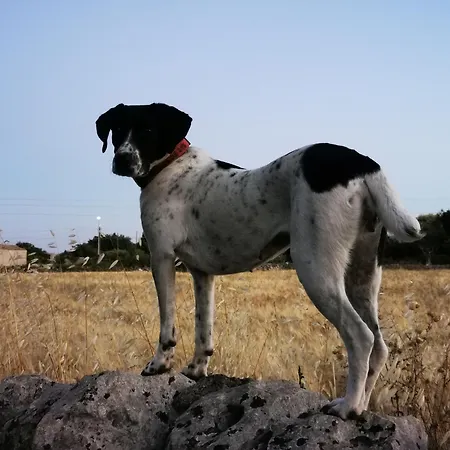 In Campagna Al Mauto * Modica