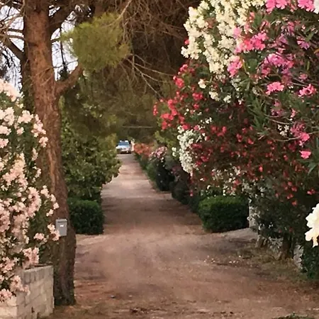 In Campagna Al Mauto 4* Modica